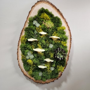 Lighted Mushroom and Moss Wood Slab Wall Hanging
