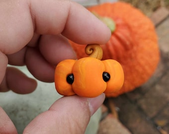 Pumpkin Pets