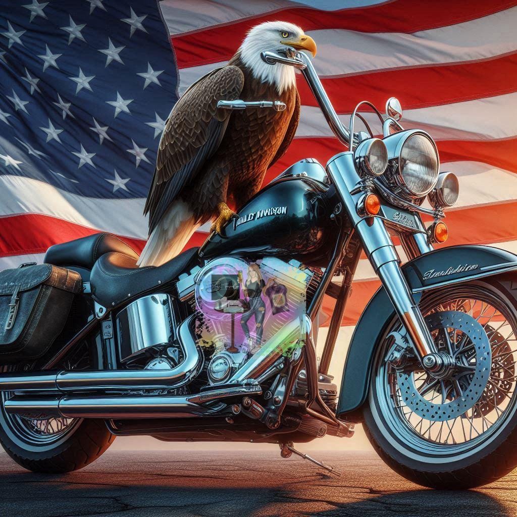 Motorcycle License Plate Bolts - American Flag Eagle Patriotic Military - Fits All Makes And Models Including Harley-Davidson, Indian, Kawasaki - View #6