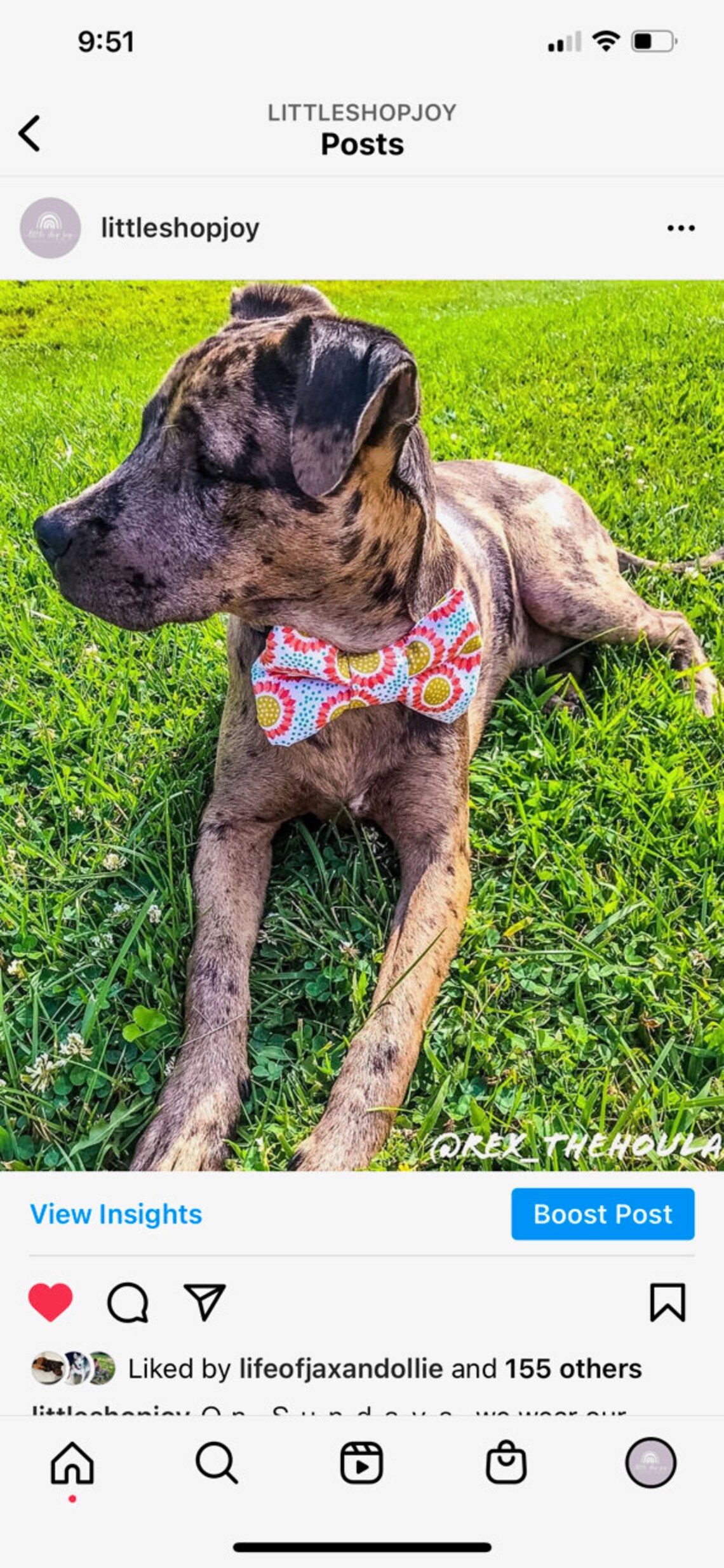 Dog Bow Tie Pattern With Elastic Printable Sewing Pattern Etsy