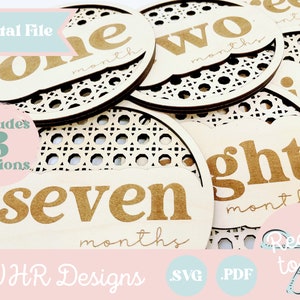 Digital Baby Monthly Milestone Markers, SVG, Rattan Monthly Milestone Plaques