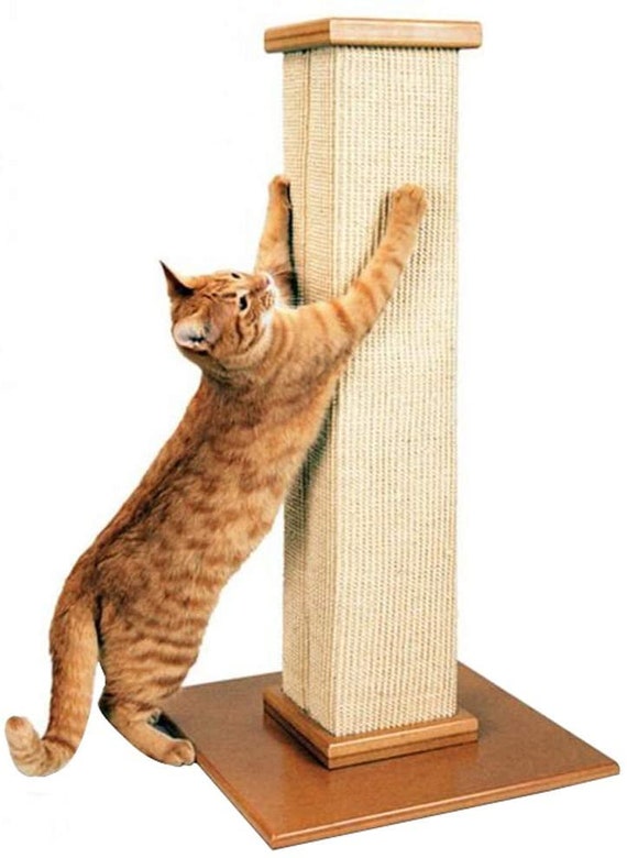 cat scratcher big