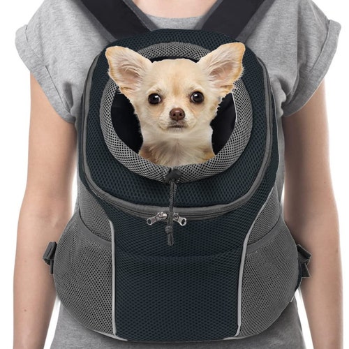 small dog front backpack