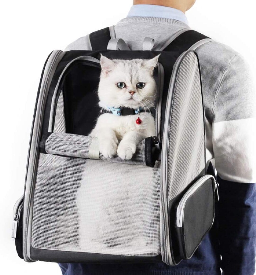 Pet Backpack Carrier for Small Cats Dogs Breathable & Collapsable