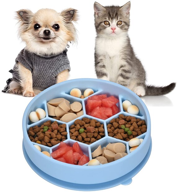 Slow Feeder Dog Bowls for Small Dogs and Cats 3 in 1 Double Dog Food Bowl