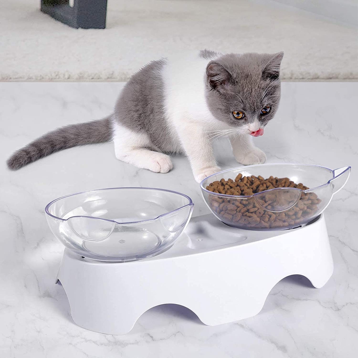 Tilted Cat Food Bowls | Anti Vomiting Raised Cat Bowls | Ergonomic Tilted  Cat Bowl, Elevated Kitten Dish Pet Food And Water Feeding Station for  Indoor