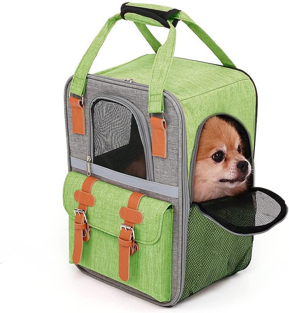 Sac à dos pour transport chat et petit chien