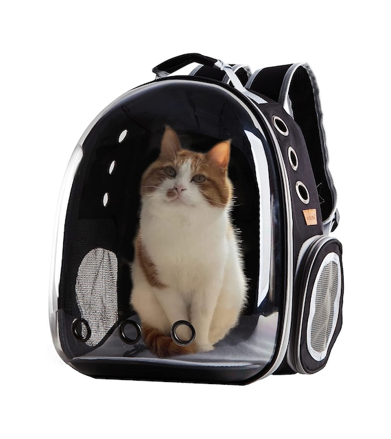 Cat Backpack Carrier Bubble Bag, Transparent Space Capsule Pet