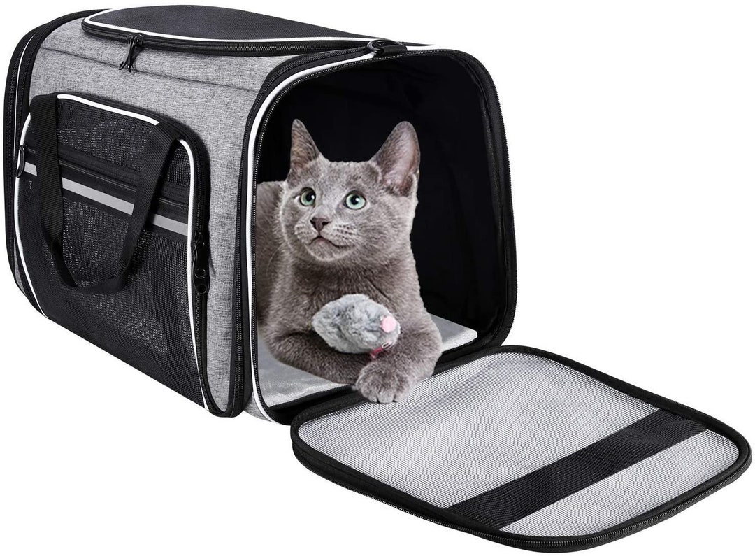 Soft Cat Carrier with Top Mesh Window Pet Carrier Breathable for Medium Cats  and Small Dogs Puppies - China Pet Bag and Pet Carrier price