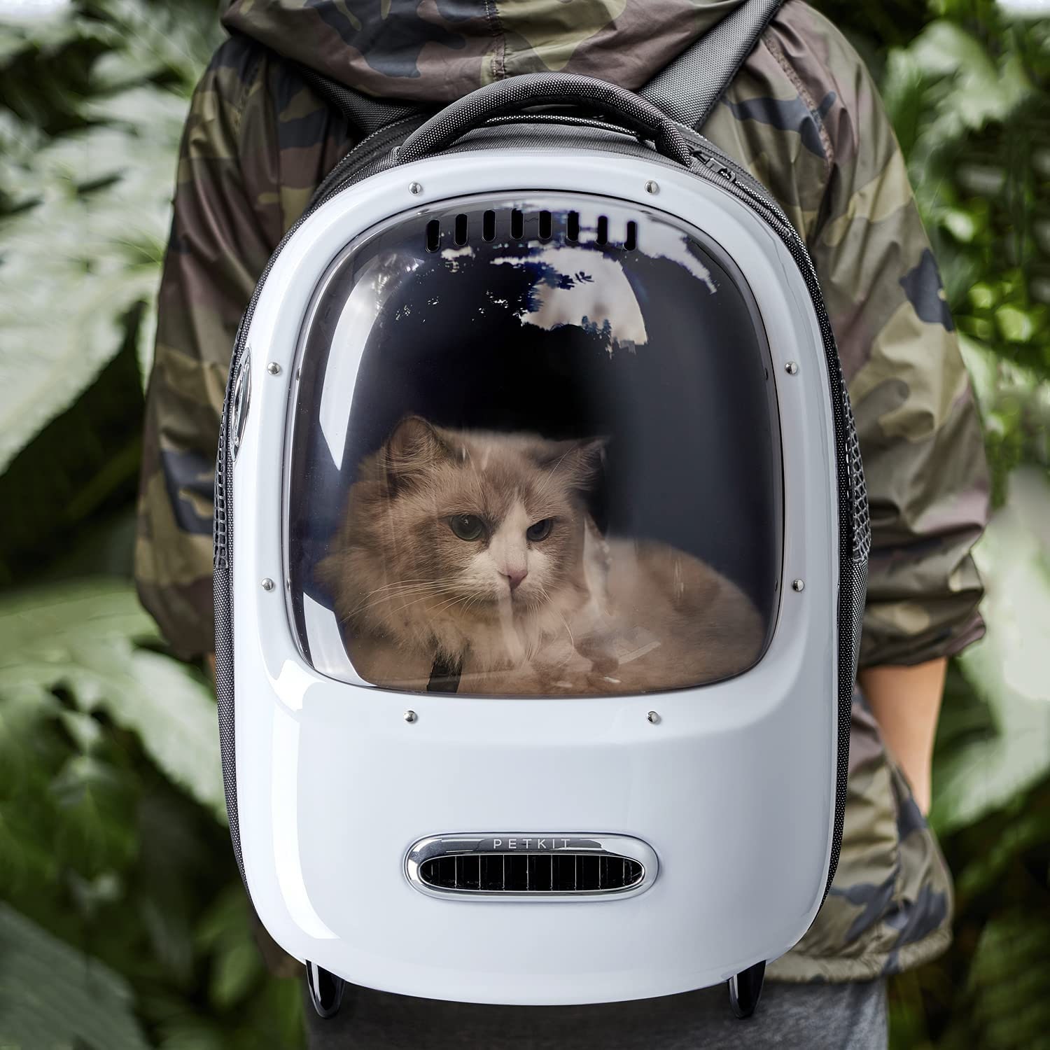 cat walking backpack