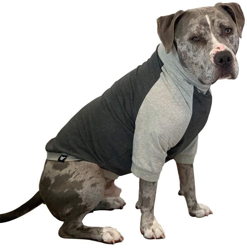 Dog anti itch shirt Clearance