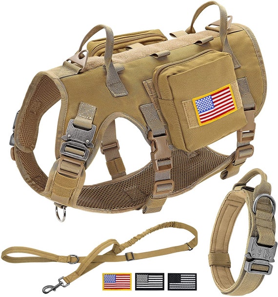 Everyday Leash – K9 Tactical Gear