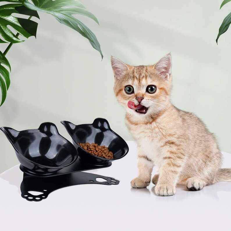 Anti Vomiting Cat Bowls Elevated Tilted Cat Food Bowl Etsy