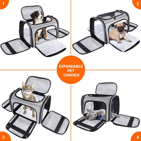 Large Collapsible Airline Approved Soft Sided Pet Carrier