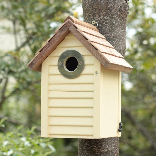 Bird House Hole Protector Etsy