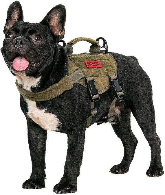 PAIDEFUL Harnais pour Petit Chien à Carreaux Harnais pour Chat avec Laisse  Gilet en Maille Souple Harnais pour la Marche Entraînement pour Chiot