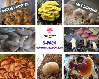 5-Pack Gourmet Mushroom Liquid Culture syringe kit (Your Choice)