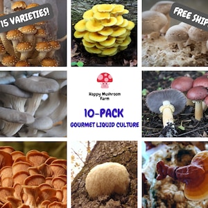 10-Pack Gourmet Mushroom Liquid Culture syringe kit (Your Choice)