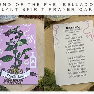 May include: A pink prayer card with a black and white illustration of a belladonna plant. The card features a poem about the plant, titled "Belladonna: Fair Lady of the Beautiful Death."