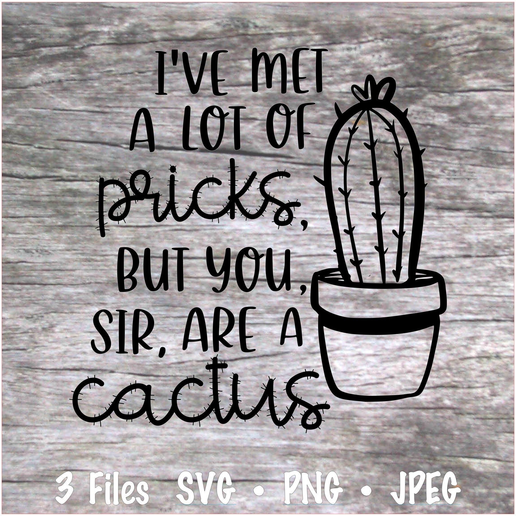 We'd Be Stuck Without You Tags Cactus Succulent Plant Gift