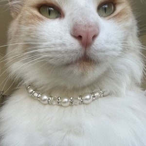 Cat wearing our pearl necklace with silver finishes, silver rings are adorned with cubic zirconia for an elegant luxury feel and acrylic beads add an extra tone. Pet lover necklace collar, pet photo prop. Pet Accessory.