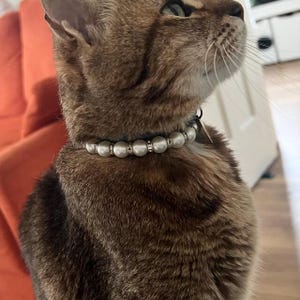 Collar para mascotas con perlas de imitación, collar para perros y gatos con diamantes de imitación, accesorio para animales imagen 2