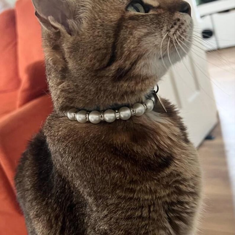 Collar para mascotas con perlas de imitación, collar para perros y gatos con diamantes de imitación, accesorio para animales imagen 2