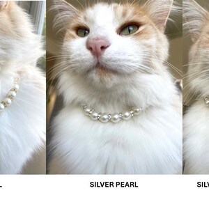 Design options of our 3 types of pearl necklace for cats, dogs, puppies and kittens.