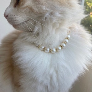 Cat wearing our pearl necklace with gold finishes, gold rings are adorned with cubic zirconia for an elegant luxury feel. Pet lover necklace collar, pet photo prop. Pet Accessory.