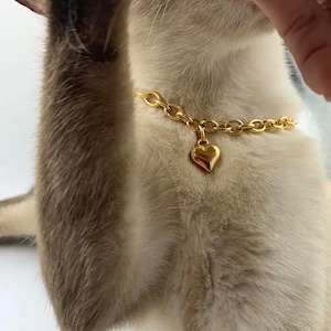 Love Heart Charm Pendant Chain Collar for Cats + Dogs