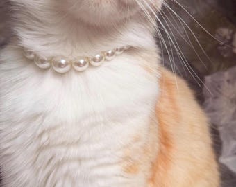 Pearl Adjustable Elastic Fashion Chain Collar Necklace for Cats, Kittens + Dogs