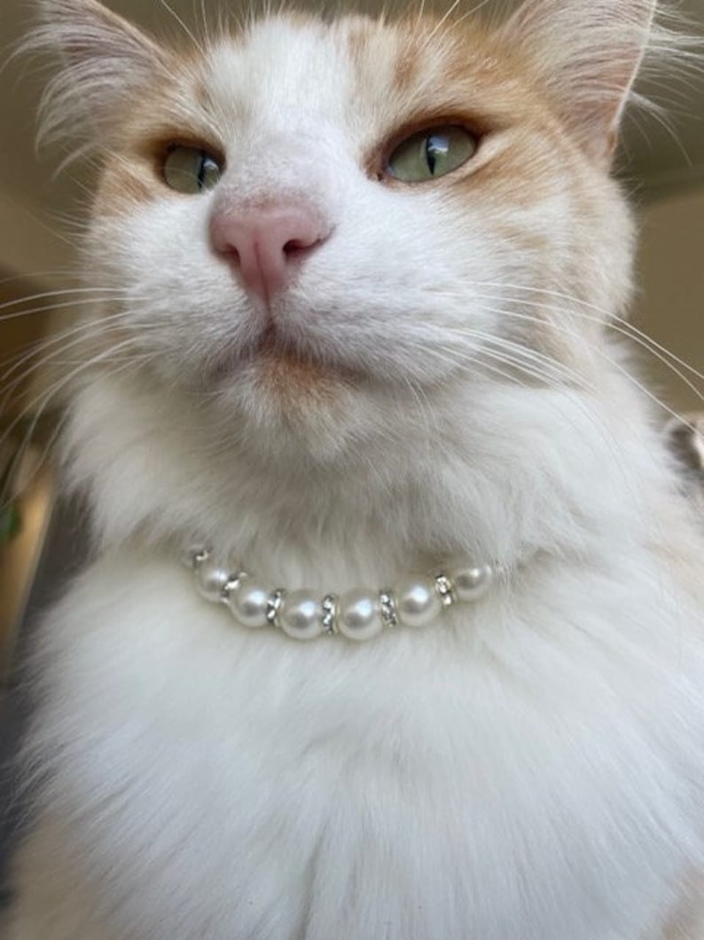 Pearl Pet Collar, Rhinestone Cat Necklace, Faux Pearl Dog Collar for Kittens Puppies & Small Dogs