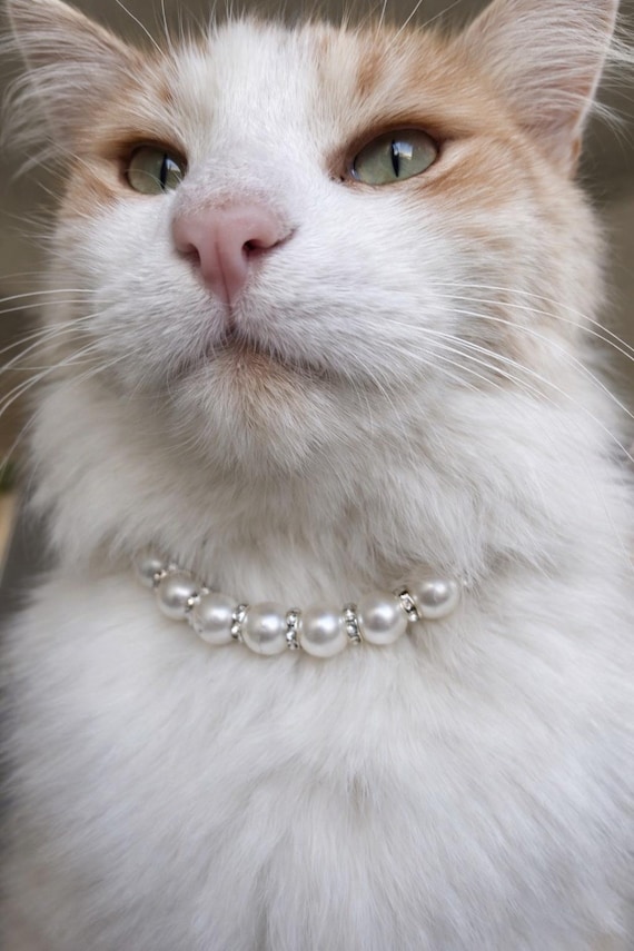 Faux Pearl Pet Necklace, Rhinestone Dog & Cat Necklace, Animal Accessory