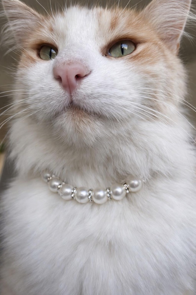 Pearl Pet Collar, Rhinestone Cat Necklace, Faux Pearl Dog Collar for Kittens Puppies & Small Dogs