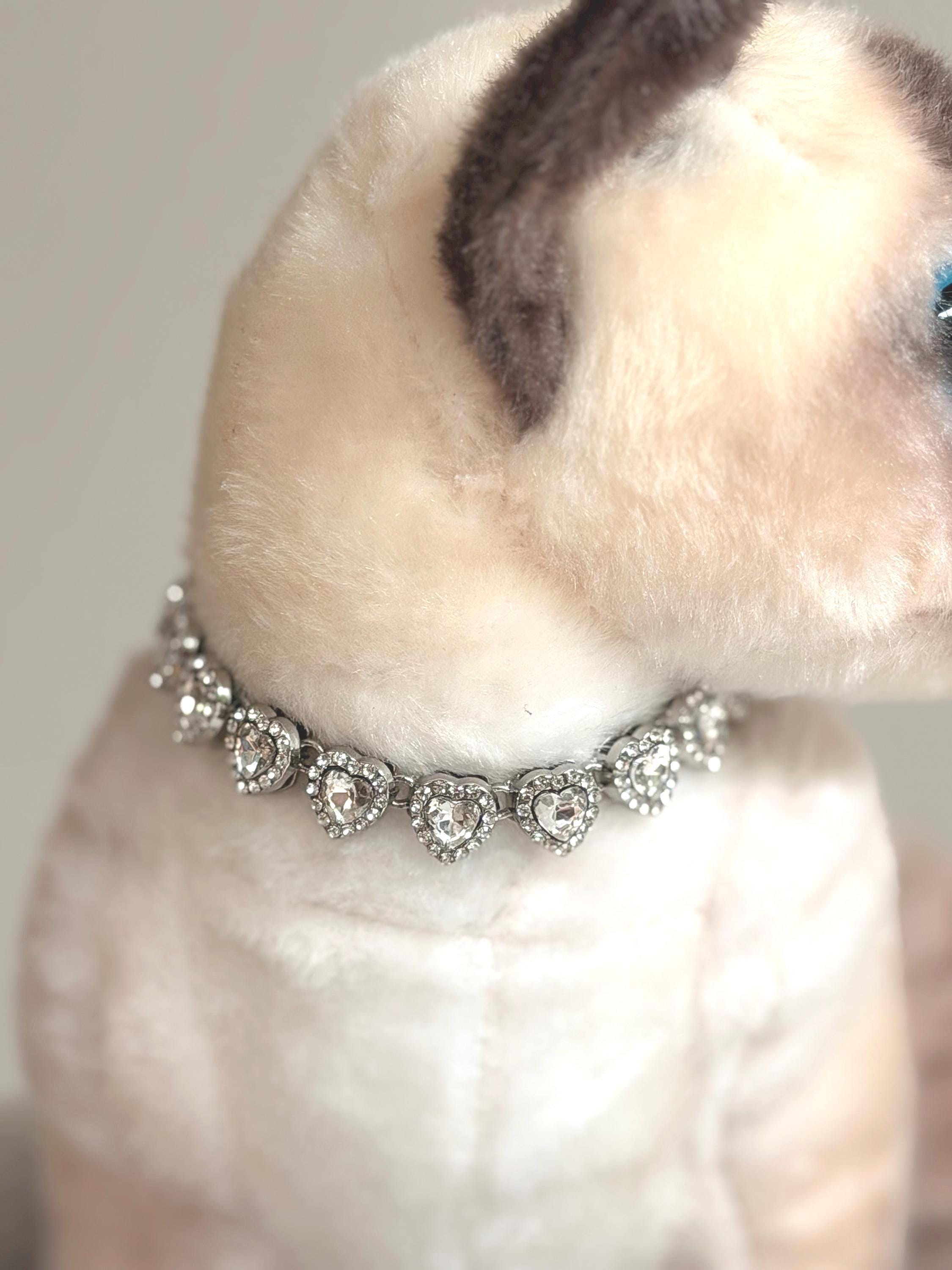 katze halsband airtag AirTag Katzenhalsband