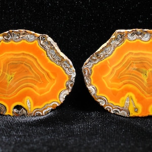 May include: Two polished agate slices with vibrant orange, yellow, and brown concentric banding. The edges are a mix of gray and white, creating a natural, organic look. These decorative stones are ideal for home decor or jewelry making.