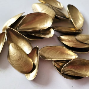 May include: A cluster of gold-painted mussel shells, displayed on a white background. The shells have a metallic finish, reflecting light and giving a luxurious look. The shells are open, showing their inner surfaces.