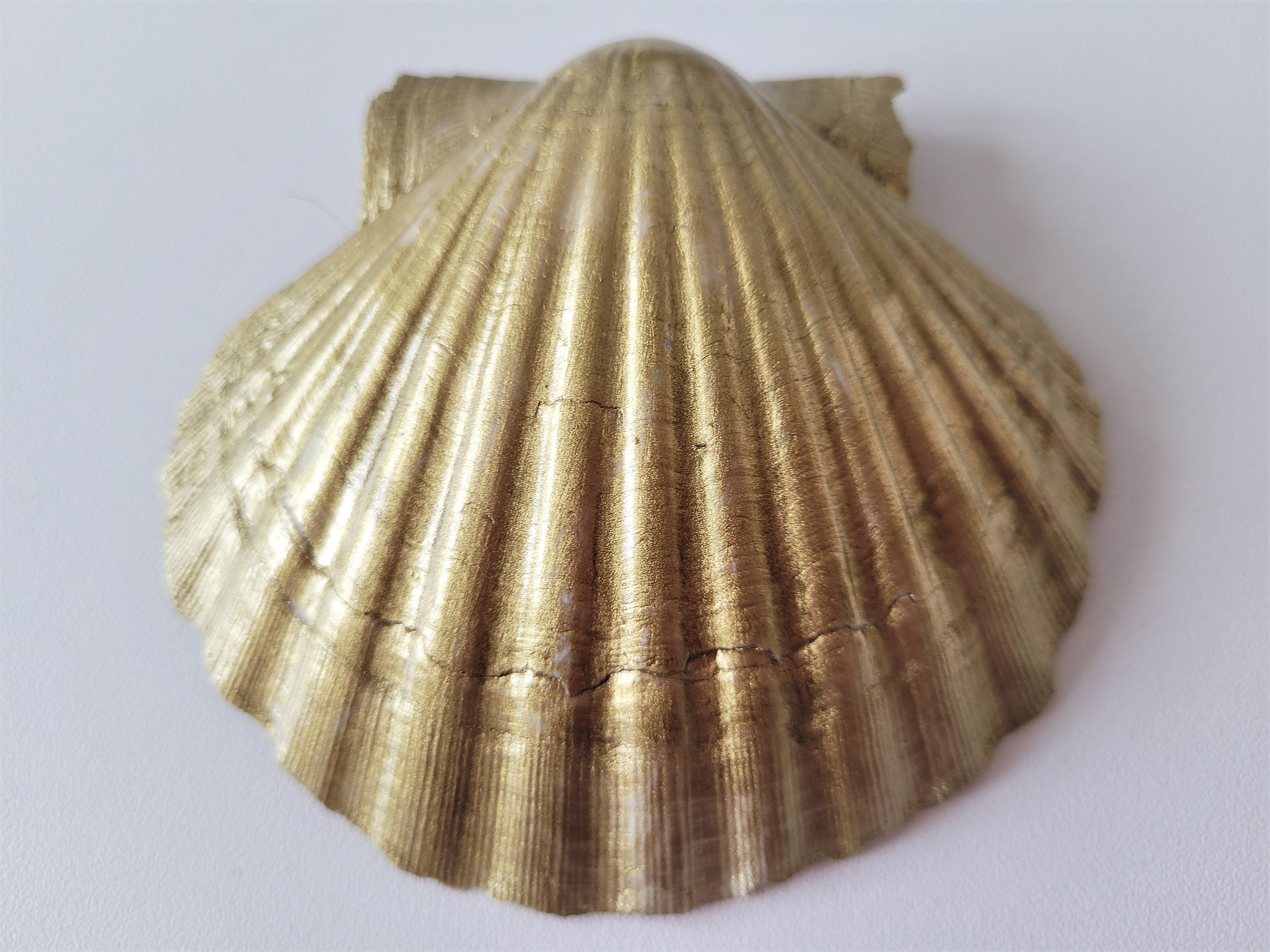 Decorated Scallop Shell, Elf With Bird, Cutting, Bowl, Jewelry Holder ...