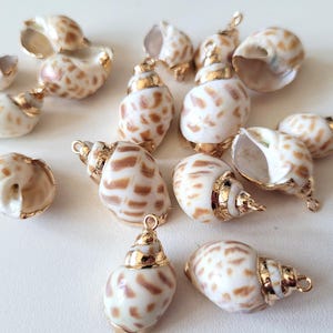 Muscheln, Charm, Anhänger, Muscheln in Gold gefasst, verkauft in Sets von 2 oder 4