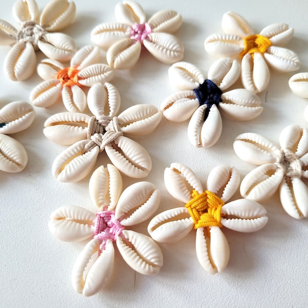decoration, cowrie shell flower, seashells