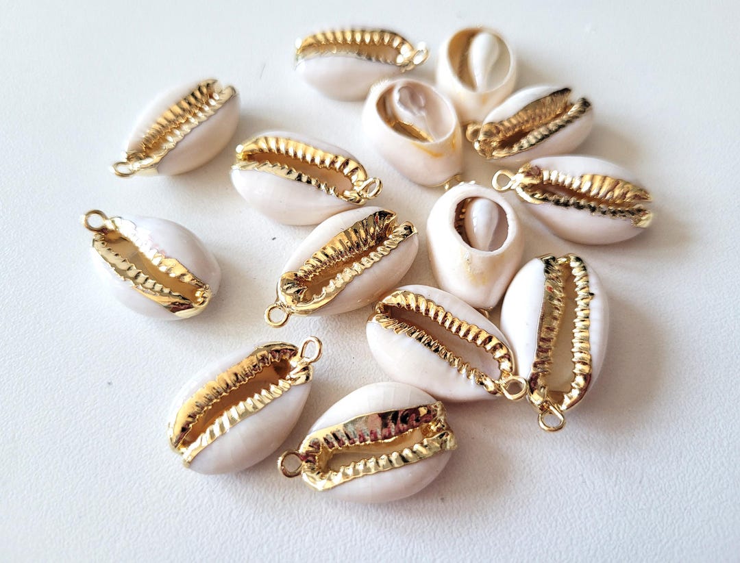 White Cowrie Shells, Charms, Pendants, Gold-set Shell, Sold in Sets of ...