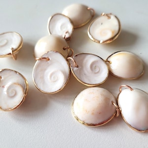 Peut inclure: Un ensemble de dix breloques circulaires en coquillage œil de Shiva, présentant un motif en spirale blanc et crème naturel sur une face et une surface lisse sur l'autre. Chaque coquillage est serti d'un fin rebord en métal doré avec un anneau.