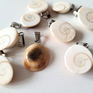 Könnte beinhalten: Eine Sammlung von Anhängern mit natürlichen Muscheldesign. Die Anhänger haben eine cremefarbene Basis mit einem Spiralmuster und sind an silberfarbenen Metallbügeln befestigt. Ein Anhänger hat ein braunes und hellbraunes marmoriertes Muster. Die Anhänger sind auf einer weißen Oberfläche verstreut.