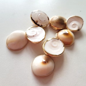 Peut inclure: Un ensemble de sept boutons circulaires composés de centres en coquillage blanc et beige polis avec des motifs en spirale naturels, chacun entouré d'un fin rebord en métal doré réfléchissant. Les boutons varient légèrement en couleur.