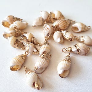 May include: A collection of small, white seashells with gold accents. The shells are arranged in a cluster on a white surface.