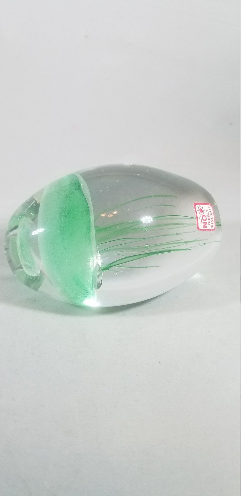 Handcrafted Blown Glass Jellyfish Paperweight: Glow in the Dark ...