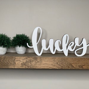 May include: White wooden sign with the word "lucky" written in cursive script. The sign is sitting on a wooden shelf with two small potted plants in front of it.