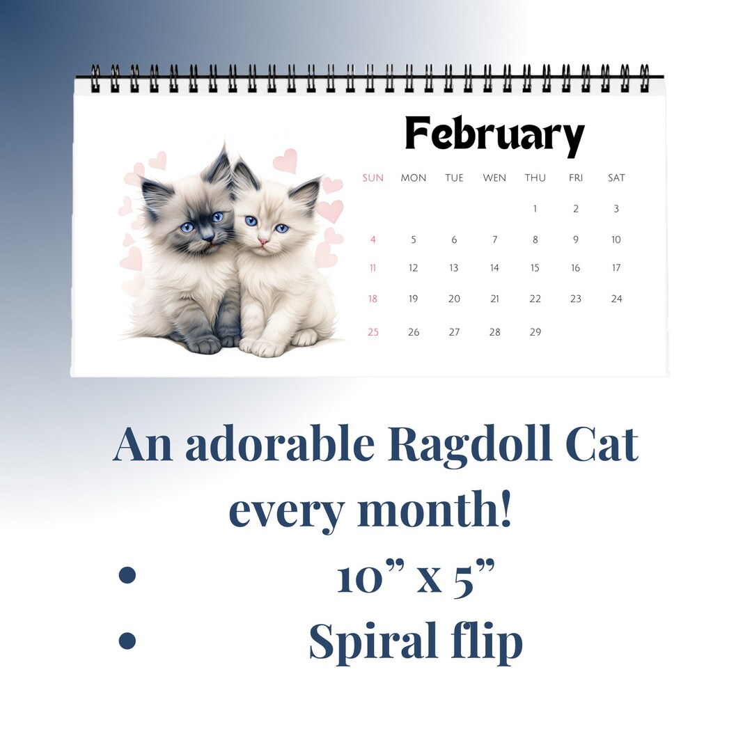 2024 Ragdoll Cat Desk Calendar Ragdoll Cat Gift 20242025 Etsy Australia
