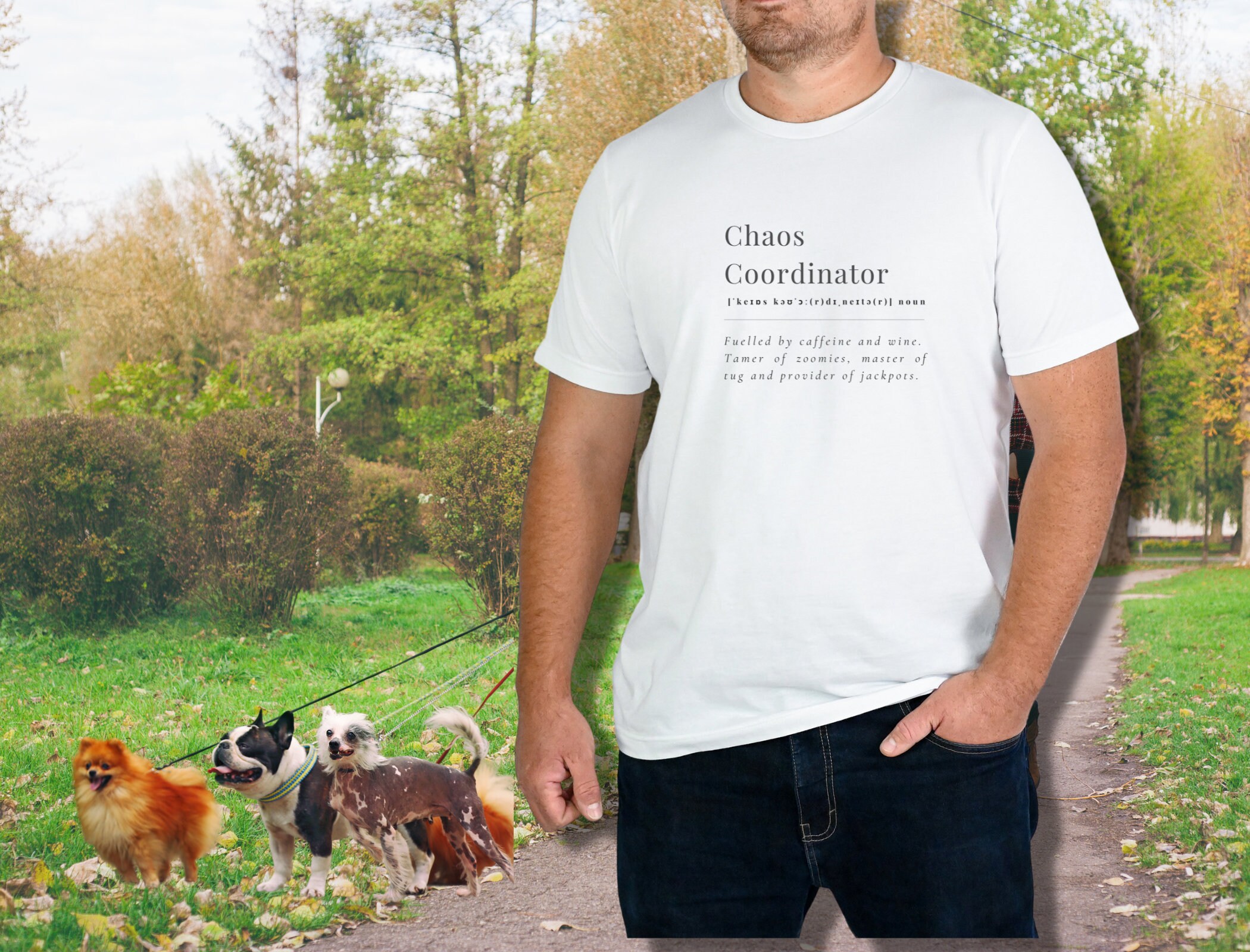 Dog Trainer Shirt Dog Sports Shirt Clicker Tricks Dog Etsy