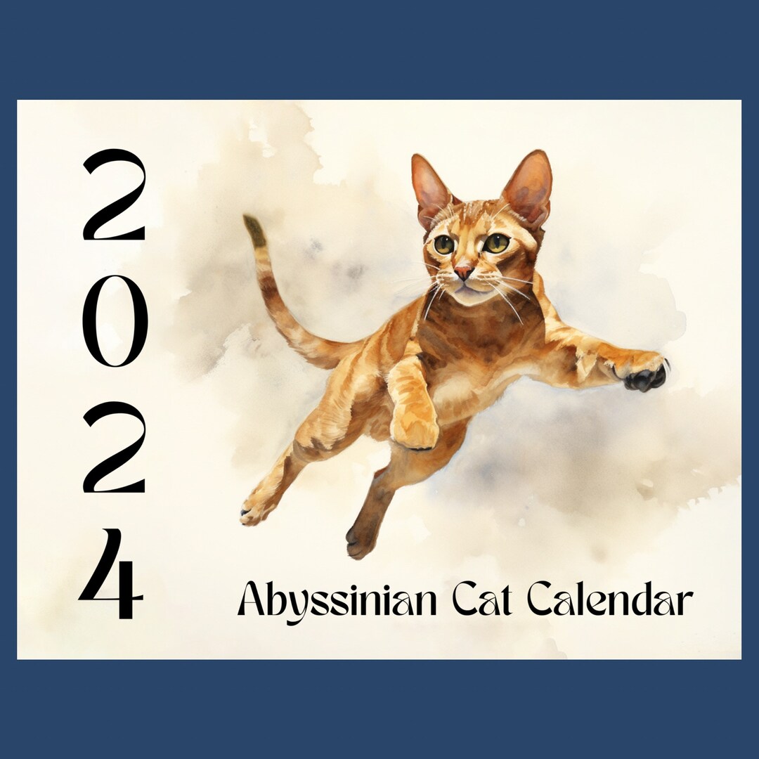 Abyssinian Cat Watercolor 2024 Calendar, 2024 Wall Calendar, 20242025